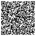 QR code with Vallis contacts