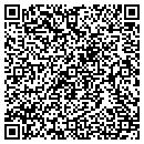 QR code with Pts America contacts