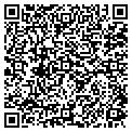 QR code with Maglove contacts