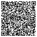QR code with Pitchout Sports Cards contacts