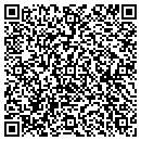 QR code with Cjt Construction Inc contacts
