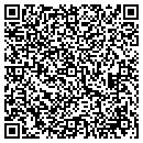 QR code with Carpet Care Inc contacts