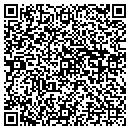 QR code with Borowsky Consulting contacts