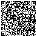 QR code with Dcat contacts