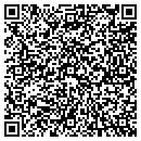 QR code with Princeton Group Inc contacts