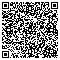 QR code with T Gotto contacts