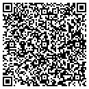 QR code with Professional Title contacts