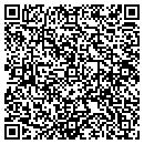 QR code with Promise Foundation contacts