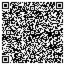 QR code with Premier Self Storage contacts