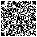 QR code with Practical Imagination contacts