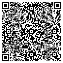QR code with Carpet Variations contacts
