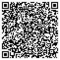 QR code with Vascor contacts