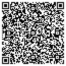 QR code with Premier Chiropractic contacts