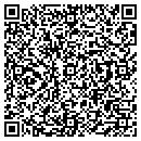 QR code with Public Pulse contacts