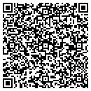 QR code with Carl Consulting Company Inc contacts