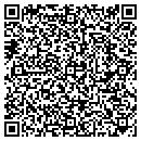 QR code with Pulse Productions Inc contacts