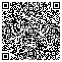 QR code with The Card Nuts contacts