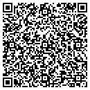 QR code with Precision Paving Co contacts
