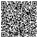 QR code with SNG Properties Inc contacts