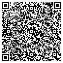 QR code with Public Storage contacts