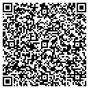QR code with Cognisa Security Inc contacts