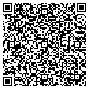 QR code with Precision Analytics Inc contacts