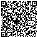 QR code with Newell contacts