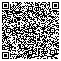 QR code with Bfg Consulting contacts