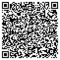 QR code with AIG contacts