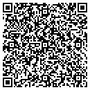 QR code with Puzzle Systems Corp contacts