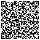 QR code with Cindy Gibson Designs contacts