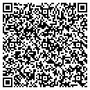 QR code with Public Storage contacts