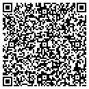 QR code with Carpet Palace contacts