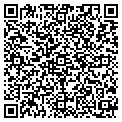 QR code with C Sorg contacts