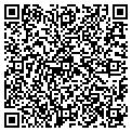 QR code with Pulsar contacts