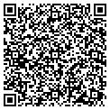 QR code with Davids Bridal contacts