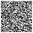 QR code with Carpets & More contacts
