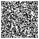 QR code with Protek Design Group contacts