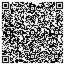 QR code with Concealed Concepts contacts