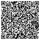 QR code with Princeton Marble & Tile contacts