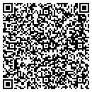 QR code with C 3 Strategies contacts