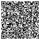 QR code with Pro Pooltable Service contacts