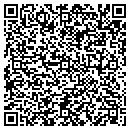 QR code with Public Storage contacts