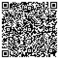 QR code with Vigneto contacts