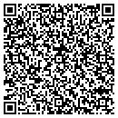 QR code with Ppcs USA Inc contacts