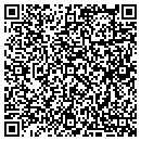 QR code with Colshe Computer Inc contacts