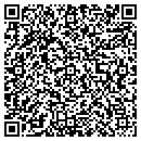 QR code with Purse Peddler contacts