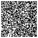 QR code with Colleen A Drache DC contacts