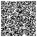 QR code with Carters Mechanical contacts