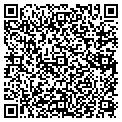QR code with Levey's contacts